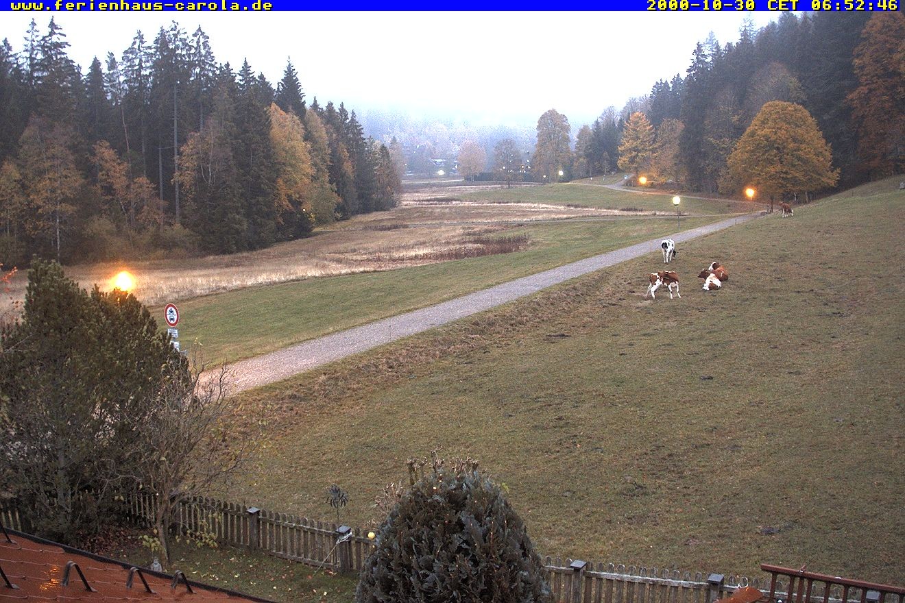 Archiv Foto Webcam Ferienhaus Carola in Hinterzarten