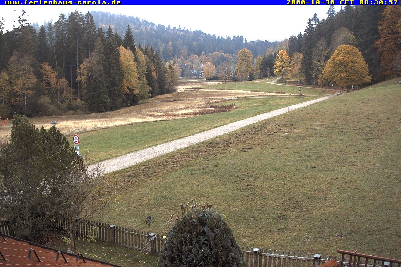 Archiv Foto Webcam Ferienhaus Carola in Hinterzarten