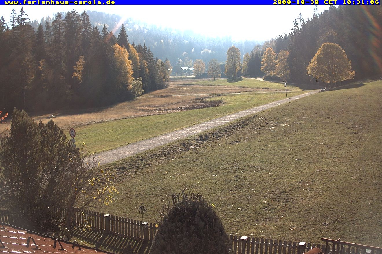 Archiv Foto Webcam Ferienhaus Carola in Hinterzarten