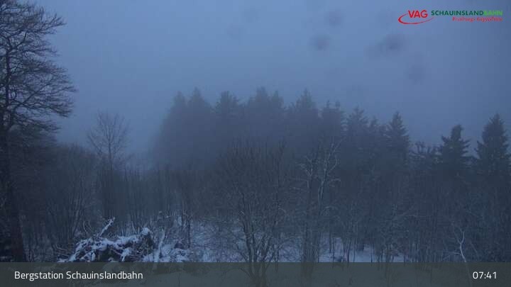 Archiv Foto Webcam Schauinsland Hofgrund