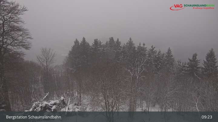 Archiv Foto Webcam Schauinsland Hofgrund