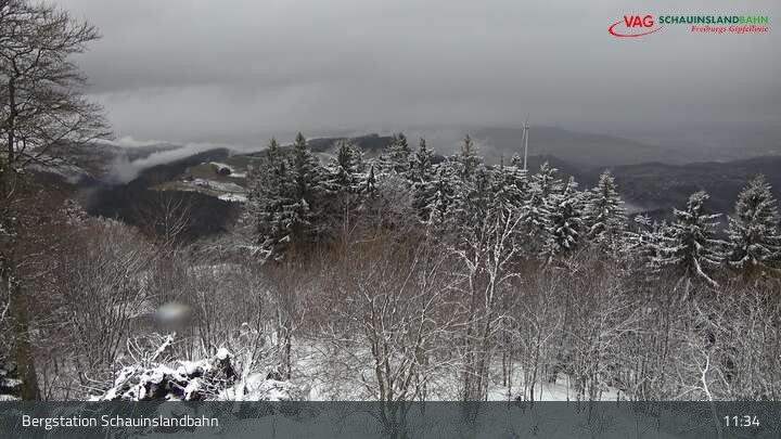 Archiv Foto Webcam Schauinsland Hofgrund