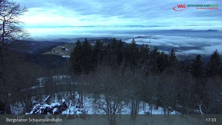 Archiv Foto Webcam Schauinsland Hofgrund