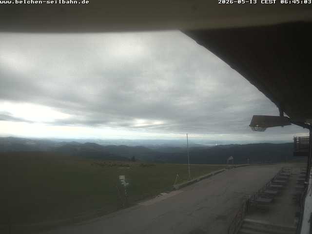 Archived image Webcam Belchen in Black Forest