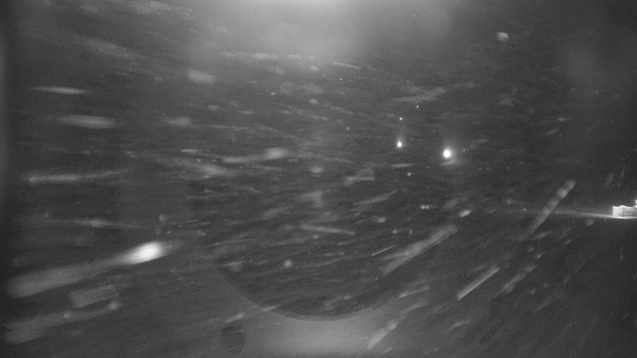 Archiv Foto Webcam Snowpark Flachauwinkl