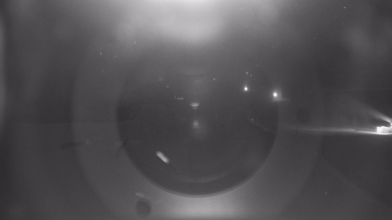 Archiv Foto Webcam Snowpark Flachauwinkl