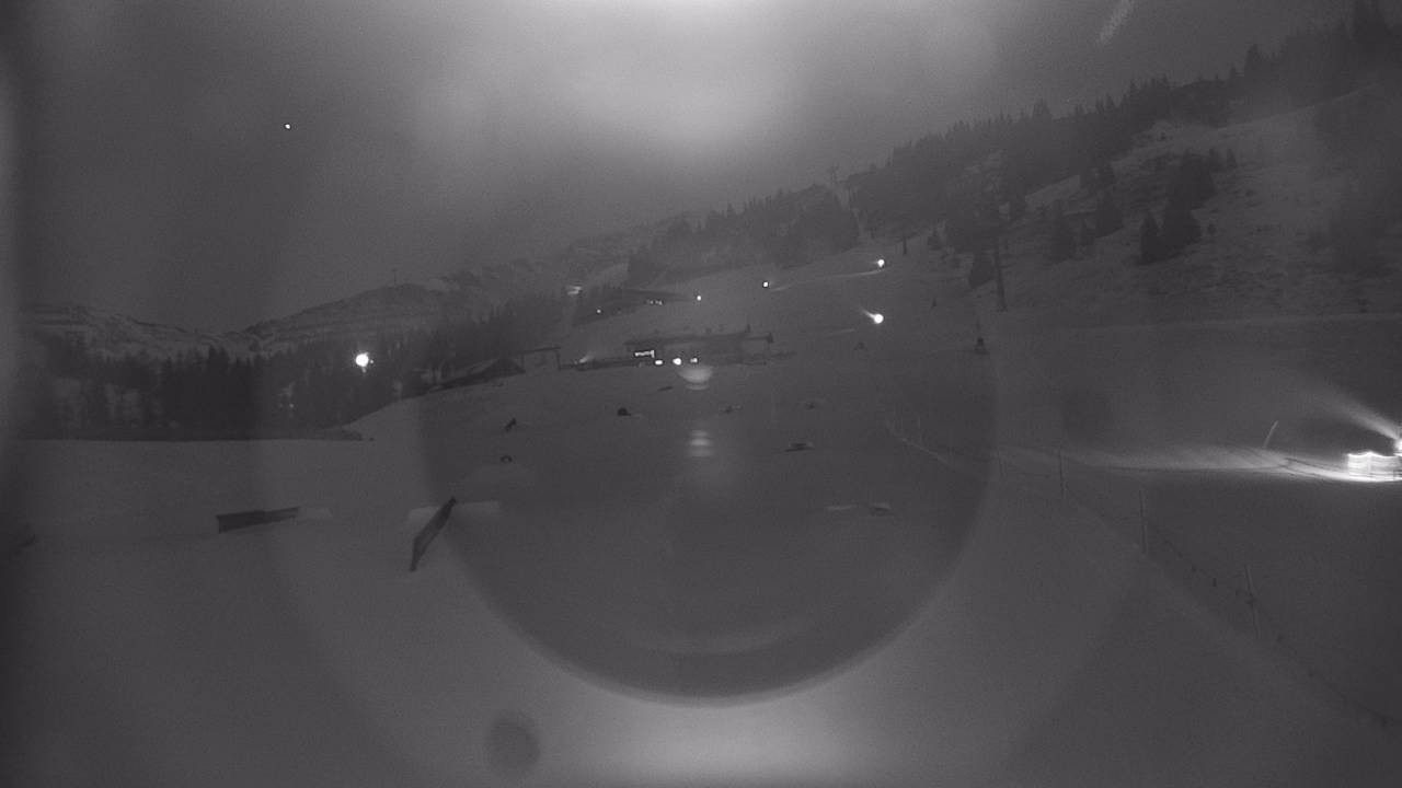 Archiv Foto Webcam Snowpark Flachauwinkl