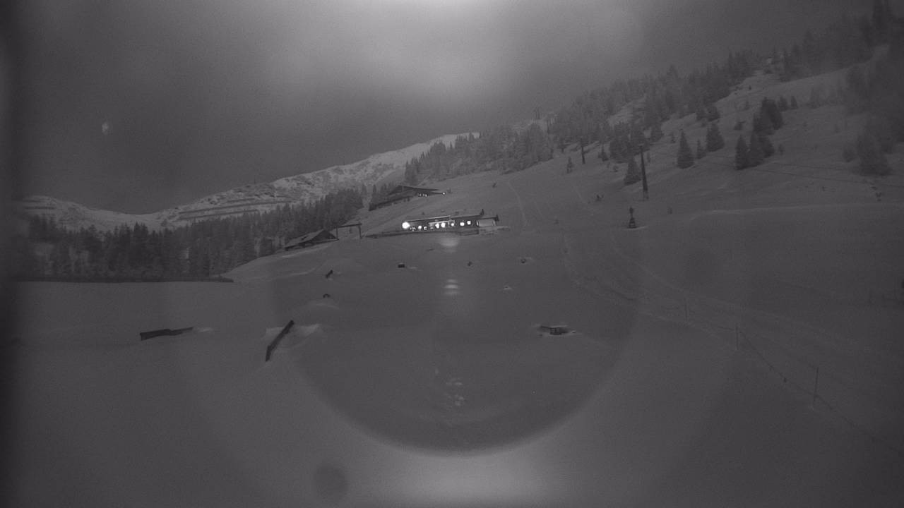 Archiv Foto Webcam Snowpark Flachauwinkl