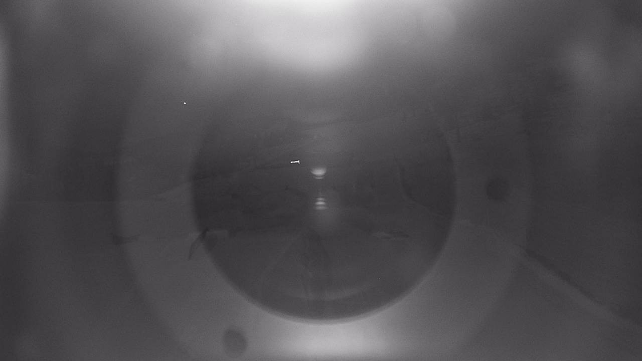 Archiv Foto Webcam Snowpark Flachauwinkl