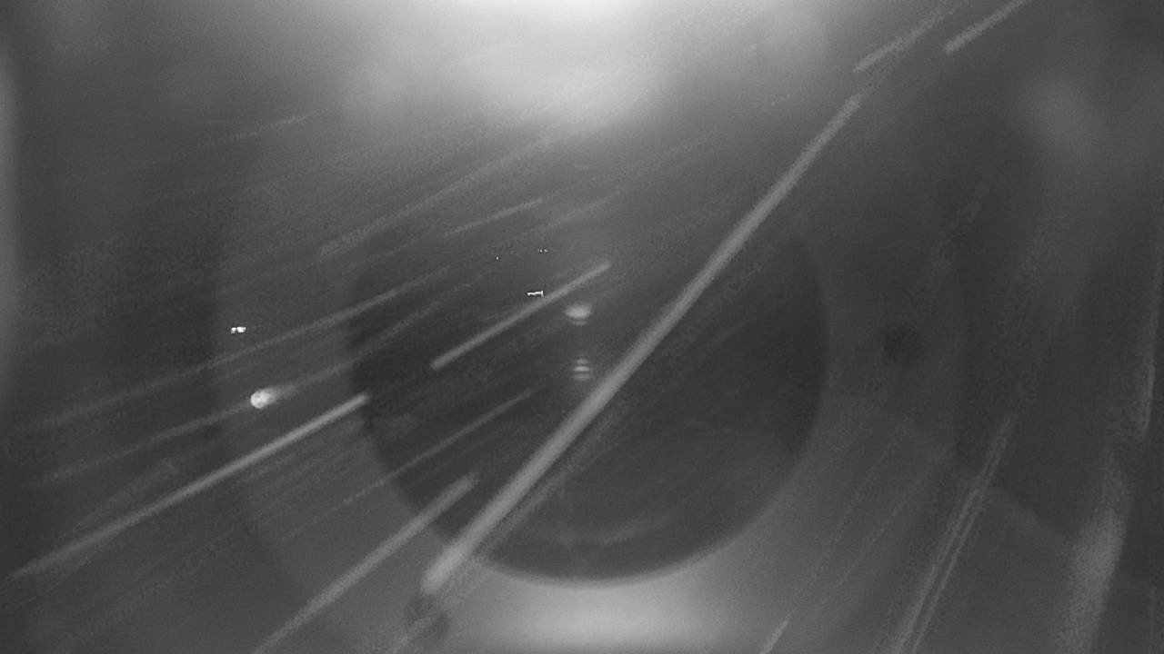 Archiv Foto Webcam Snowpark Flachauwinkl