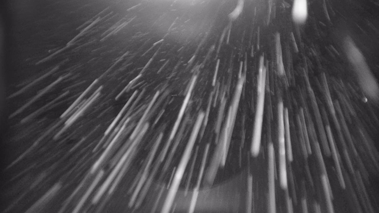 Archiv Foto Webcam Snowpark Flachauwinkl