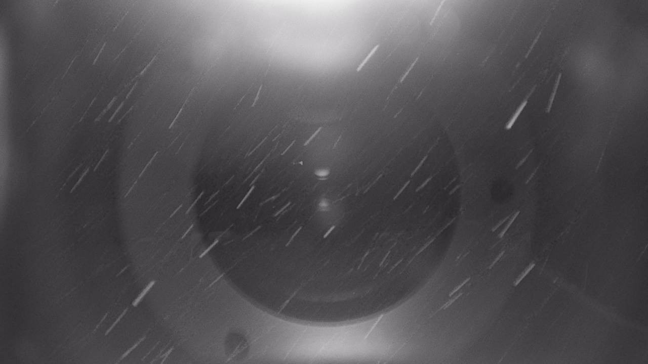 Archiv Foto Webcam Snowpark Flachauwinkl