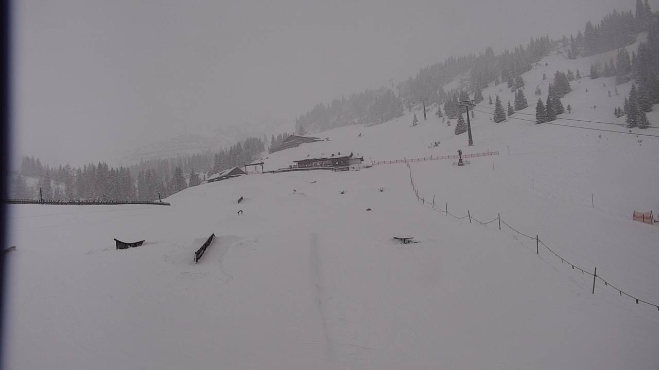 Archiv Foto Webcam Snowpark Flachauwinkl