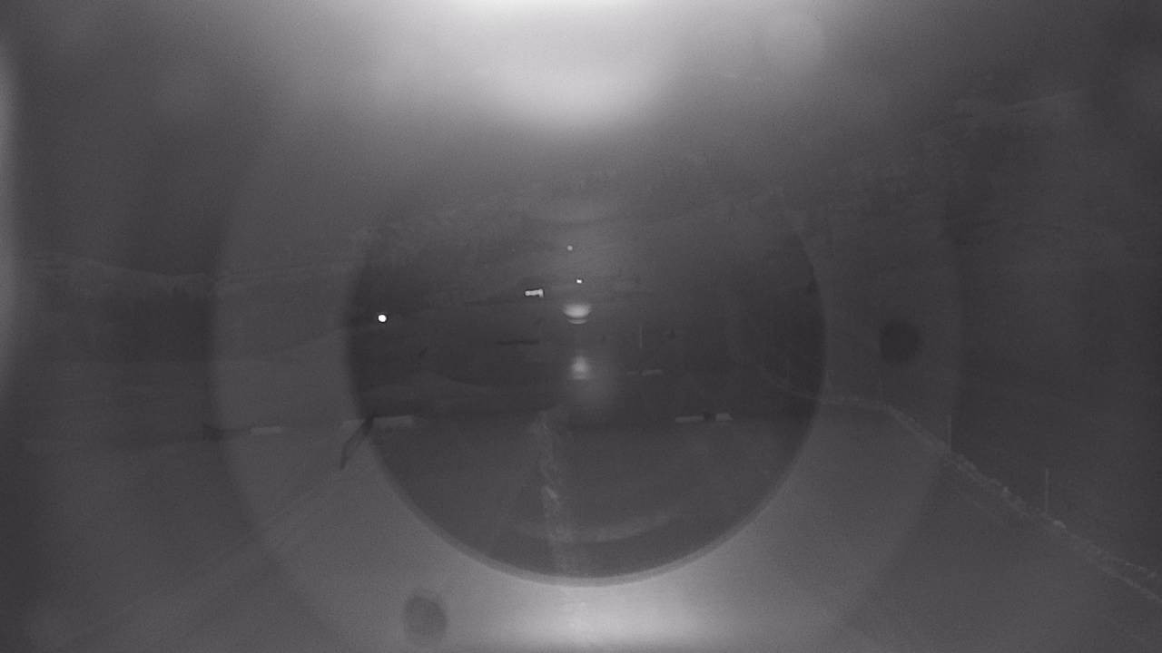 Archiv Foto Webcam Snowpark Flachauwinkl