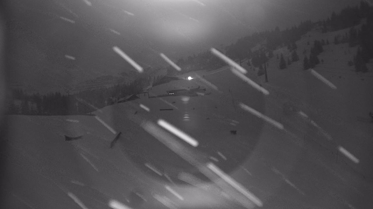 Archiv Foto Webcam Snowpark Flachauwinkl