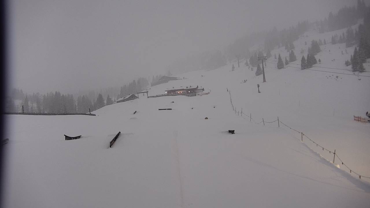Archiv Foto Webcam Snowpark Flachauwinkl