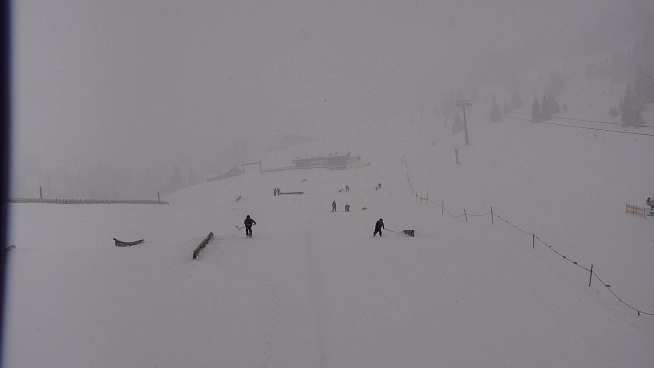 Archived image Webcam Snowpark Flachauwinkl