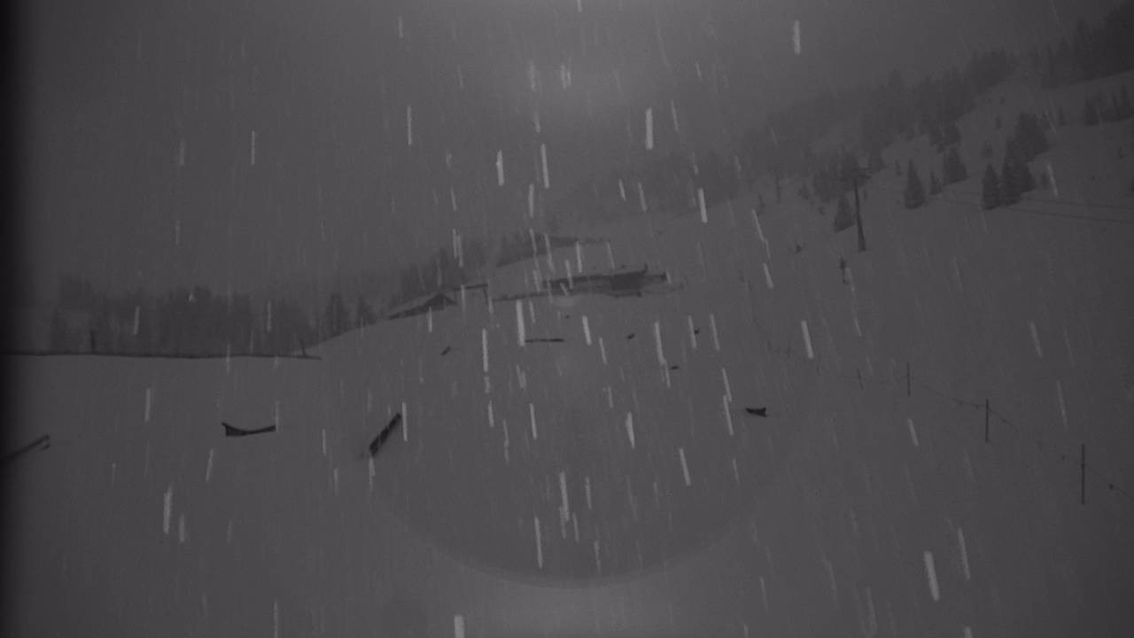 Archiv Foto Webcam Snowpark Flachauwinkl