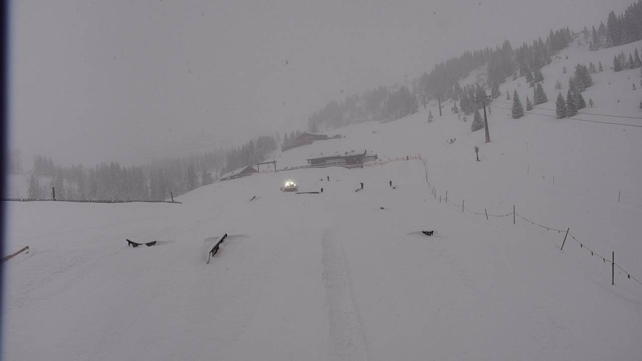 Archiv Foto Webcam Snowpark Flachauwinkl