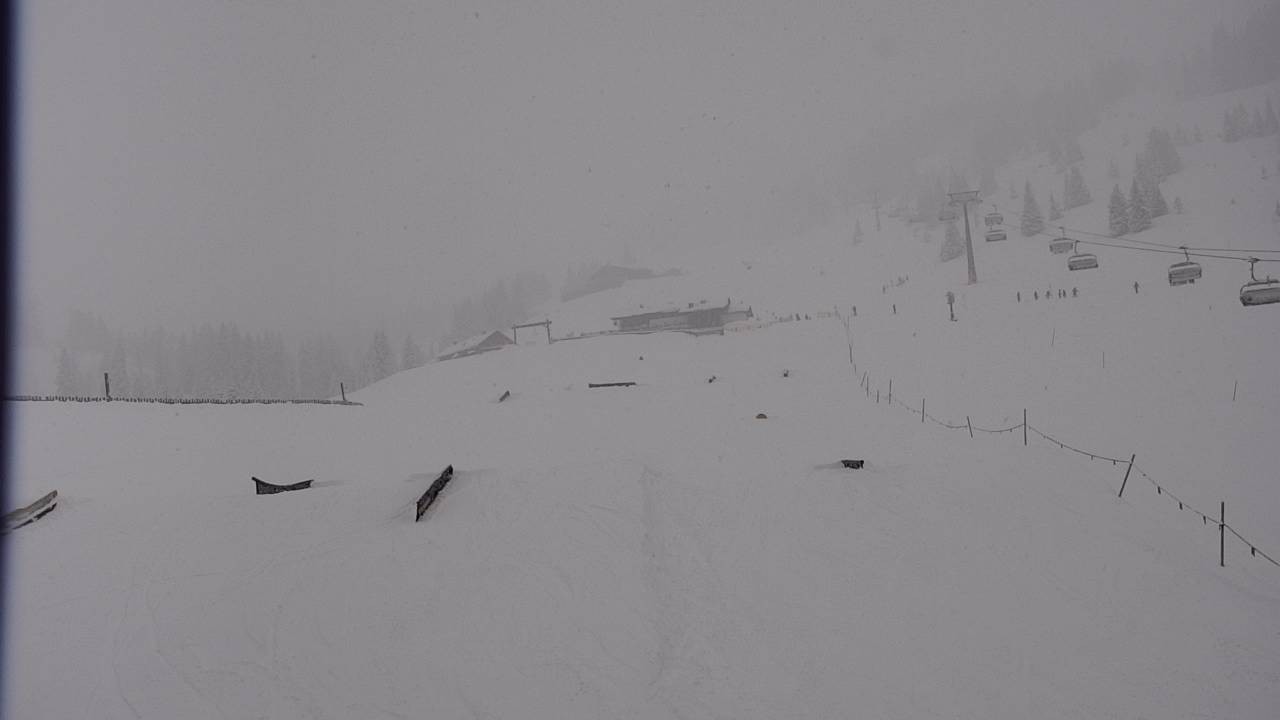 Archiv Foto Webcam Snowpark Flachauwinkl