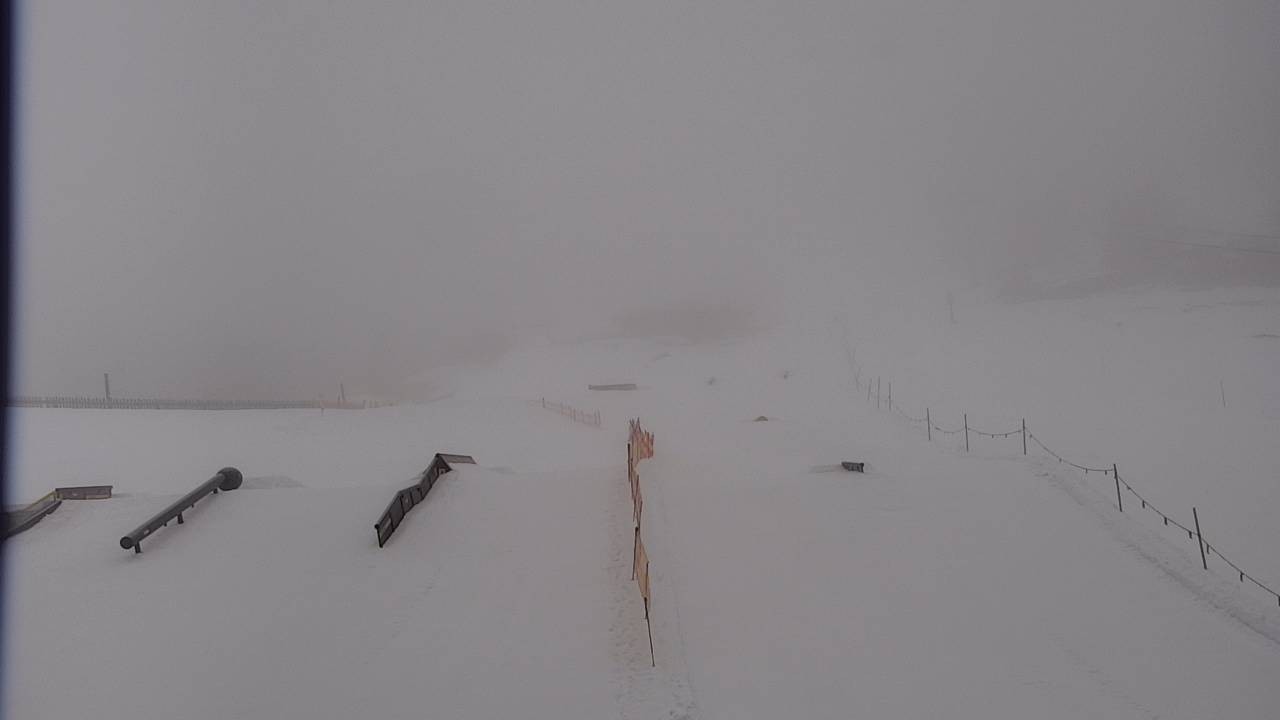 Archiv Foto Webcam Snowpark Flachauwinkl