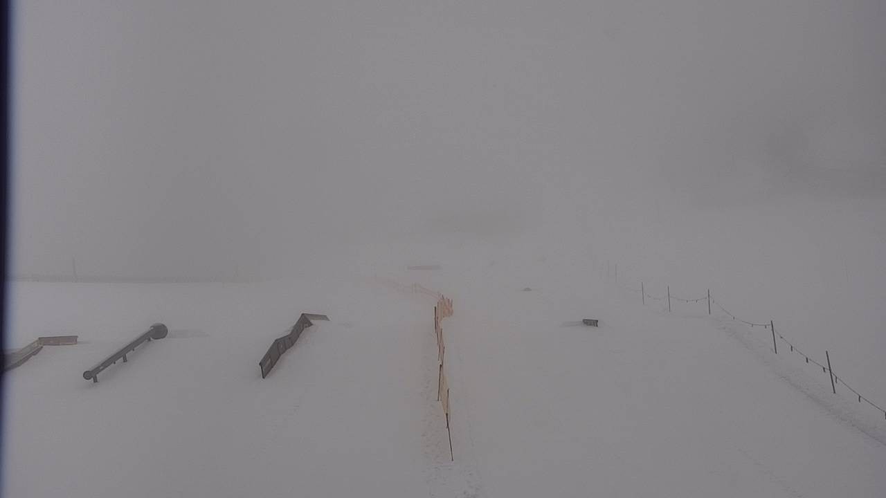 Archiv Foto Webcam Snowpark Flachauwinkl