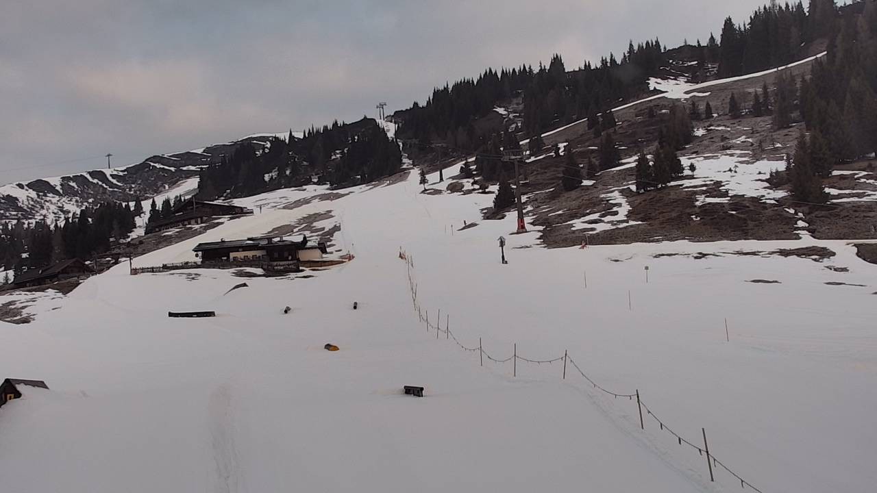 Archiv Foto Webcam Snowpark Flachauwinkl
