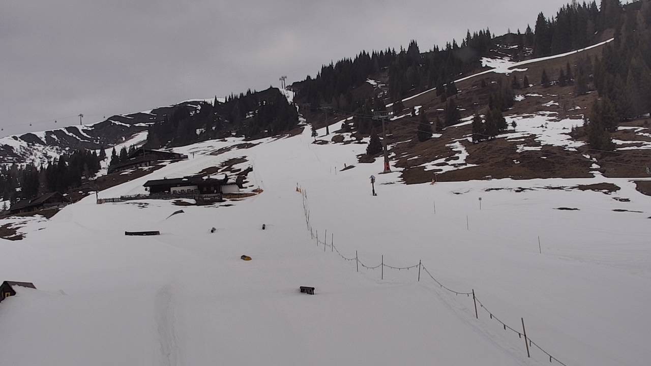 Archiv Foto Webcam Snowpark Flachauwinkl