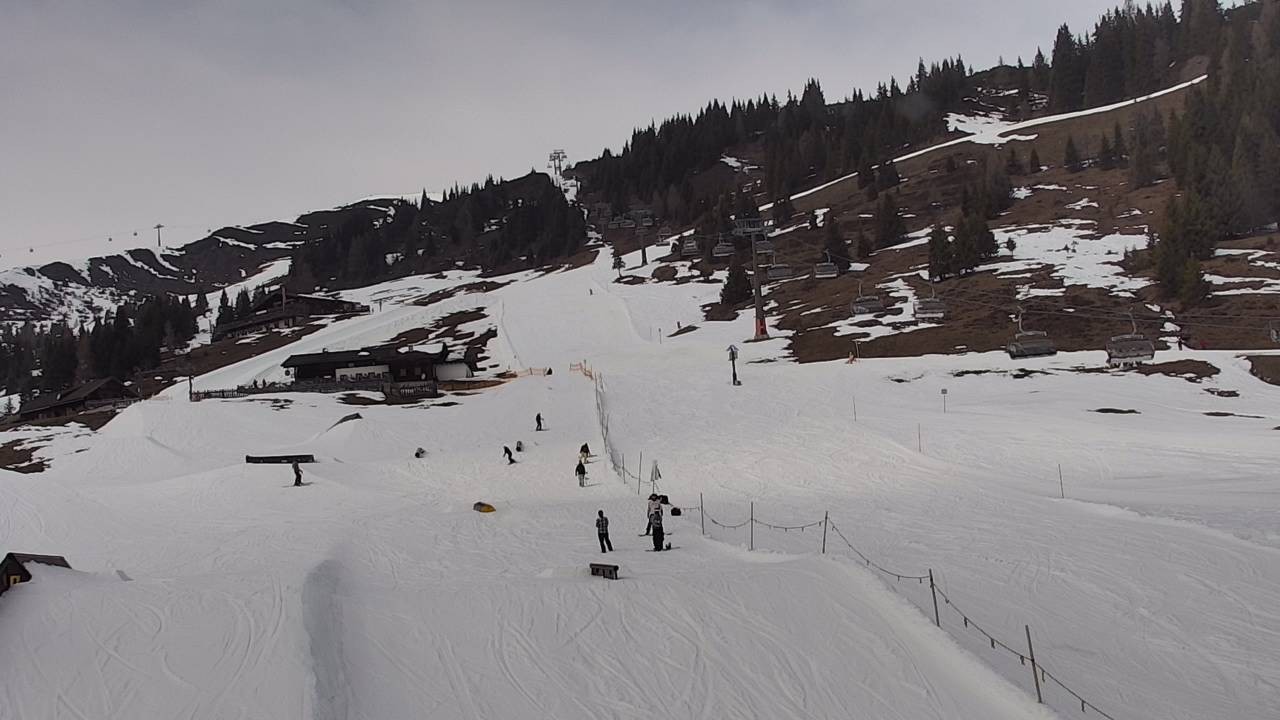 Archiv Foto Webcam Snowpark Flachauwinkl