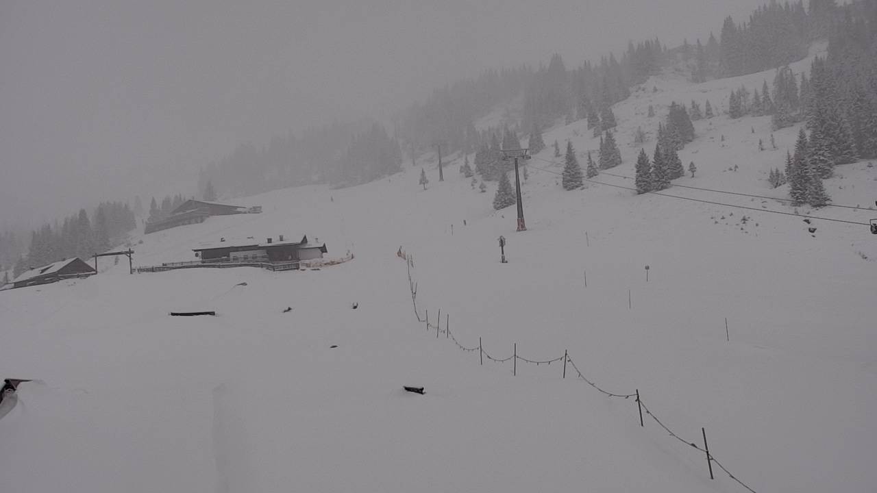 Archiv Foto Webcam Snowpark Flachauwinkl
