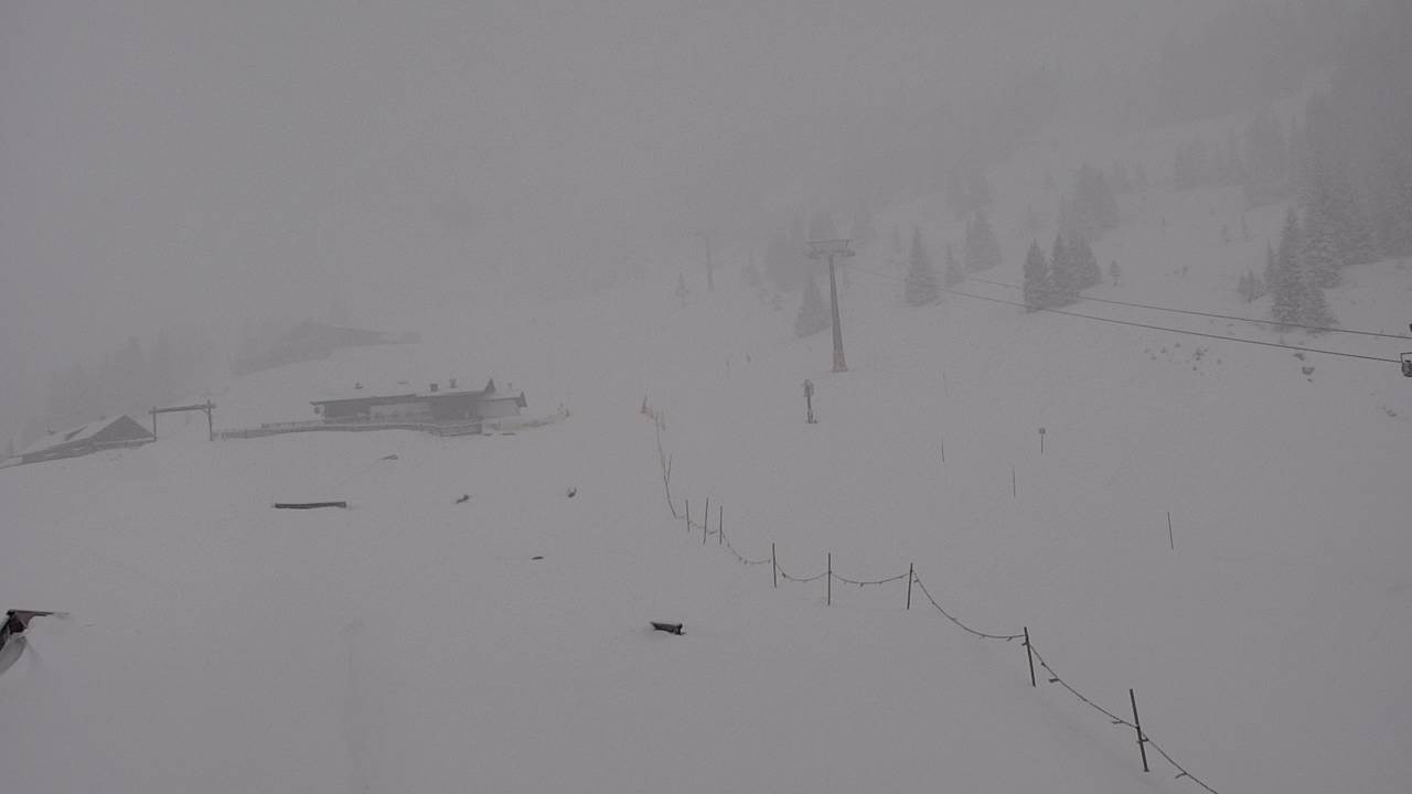 Archiv Foto Webcam Snowpark Flachauwinkl