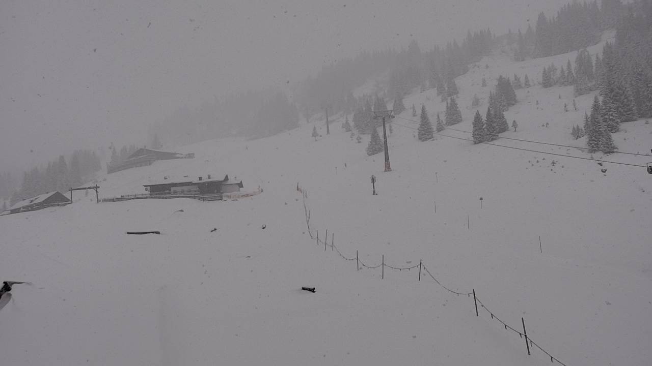 Archiv Foto Webcam Snowpark Flachauwinkl