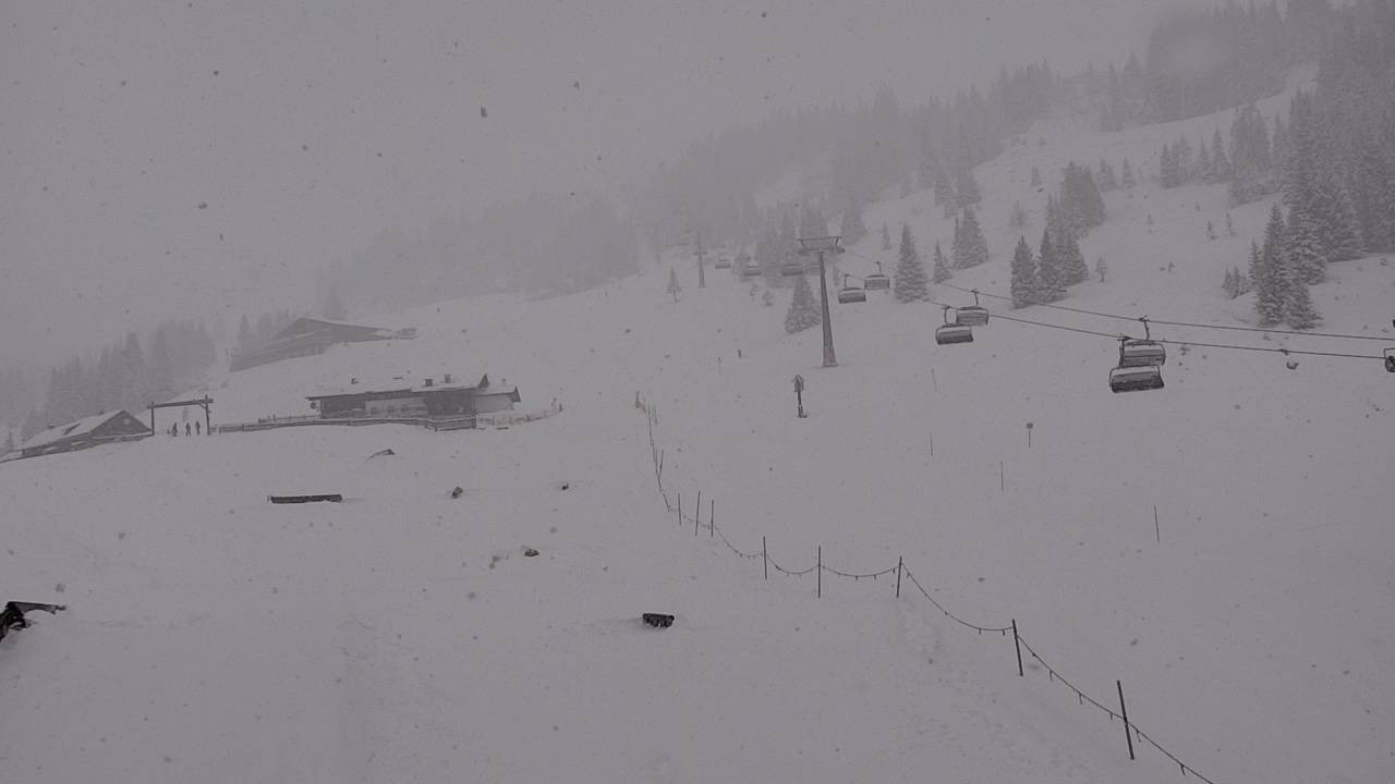 Archiv Foto Webcam Snowpark Flachauwinkl