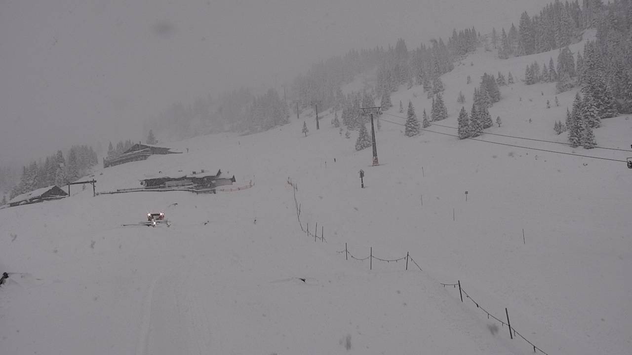 Archiv Foto Webcam Snowpark Flachauwinkl