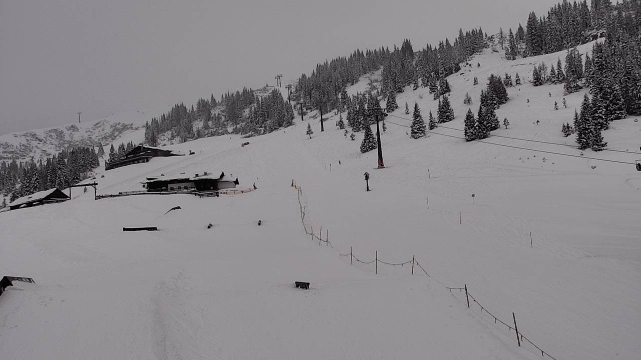 Archiv Foto Webcam Snowpark Flachauwinkl