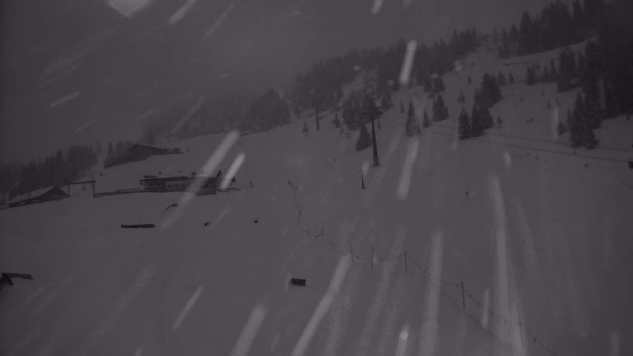 Archived image Webcam Snowpark Flachauwinkl