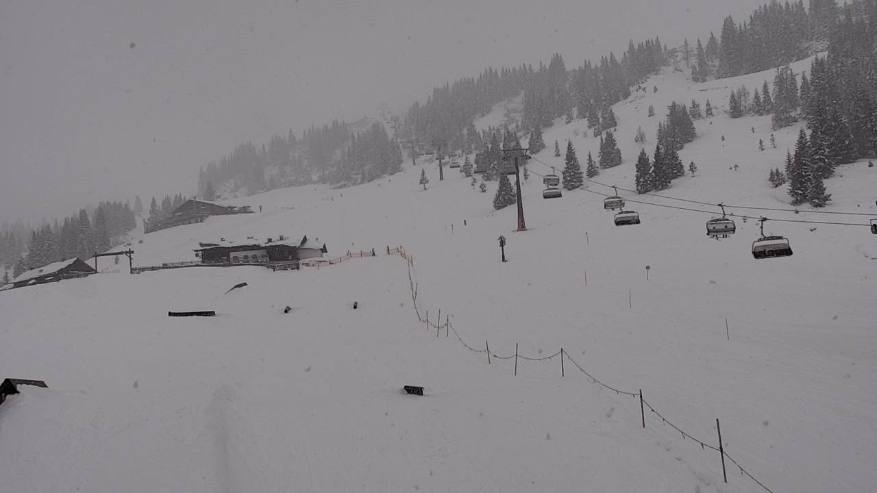 Archived image Webcam Snowpark Flachauwinkl