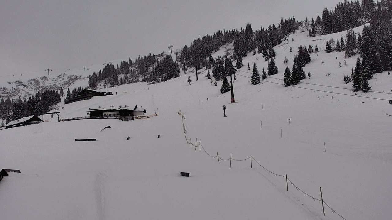 Archiv Foto Webcam Snowpark Flachauwinkl