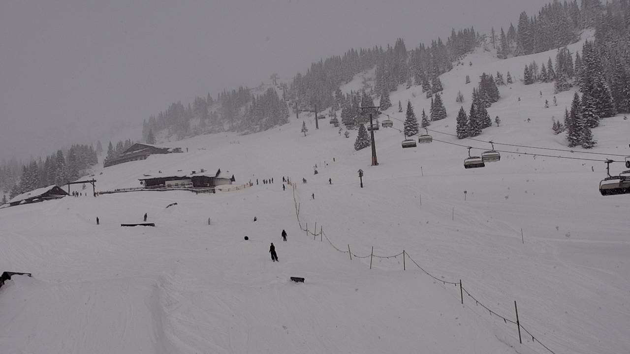Archiv Foto Webcam Snowpark Flachauwinkl