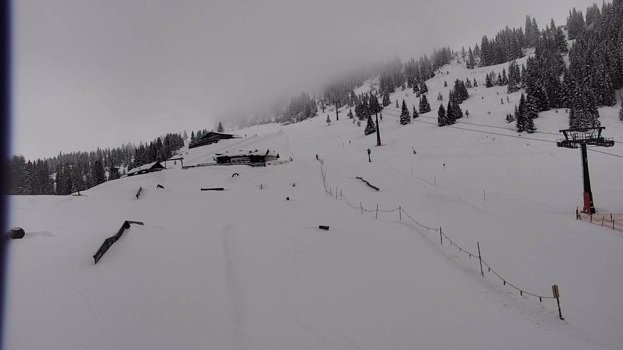 Archiv Foto Webcam Snowpark Flachauwinkl