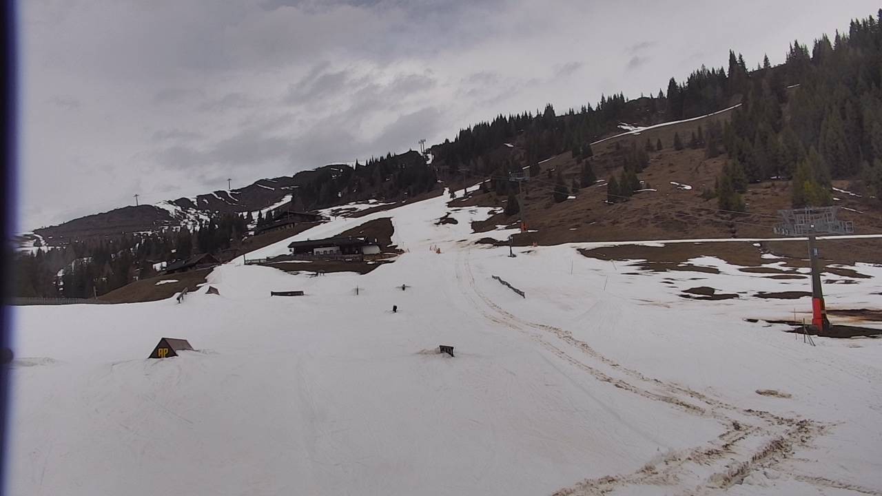 Archived image Webcam Snowpark Flachauwinkl