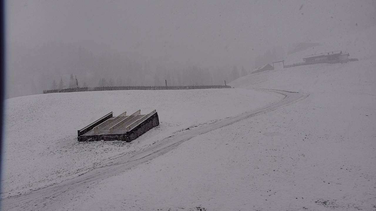 Archiv Foto Webcam Snowpark Flachauwinkl