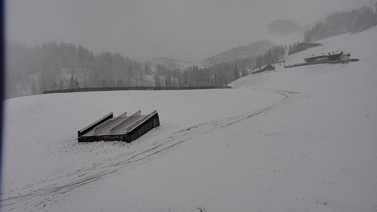 Archiv Foto Webcam Snowpark Flachauwinkl