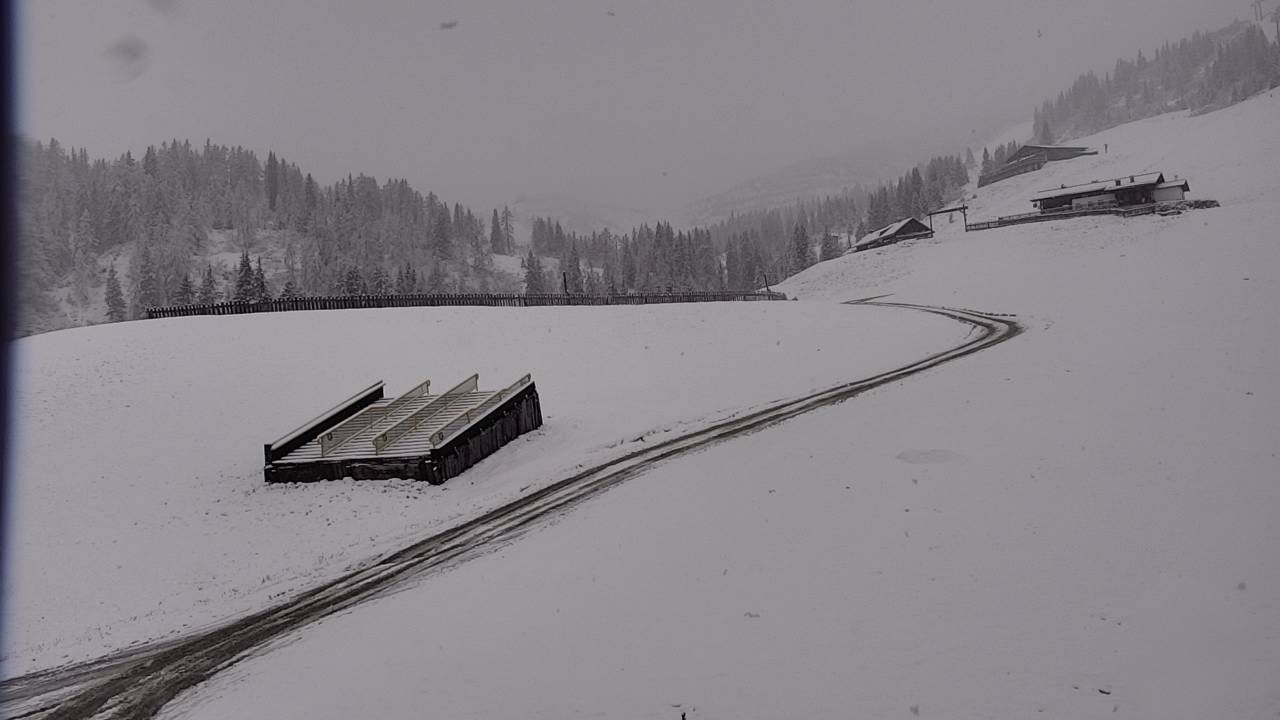 Archiv Foto Webcam Snowpark Flachauwinkl