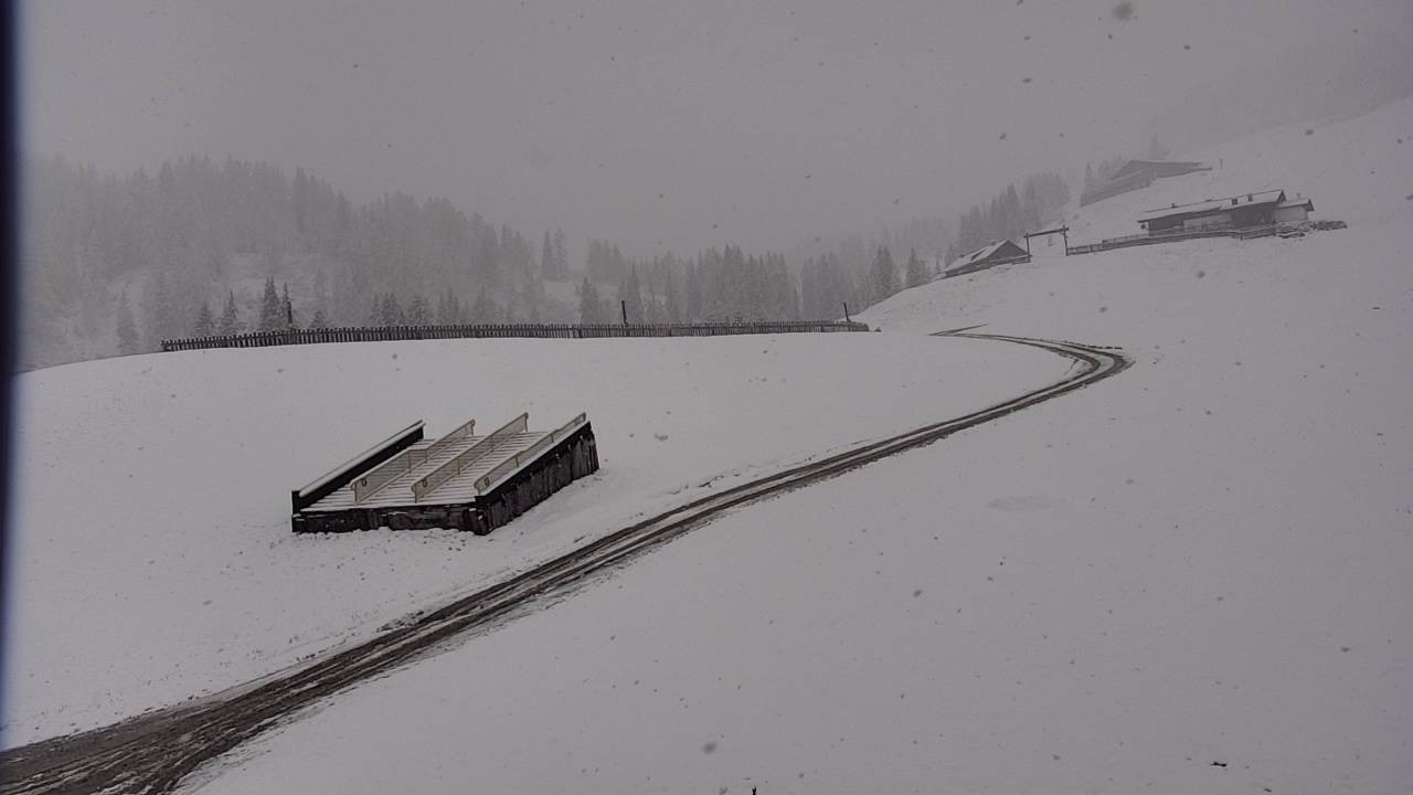 Archiv Foto Webcam Snowpark Flachauwinkl