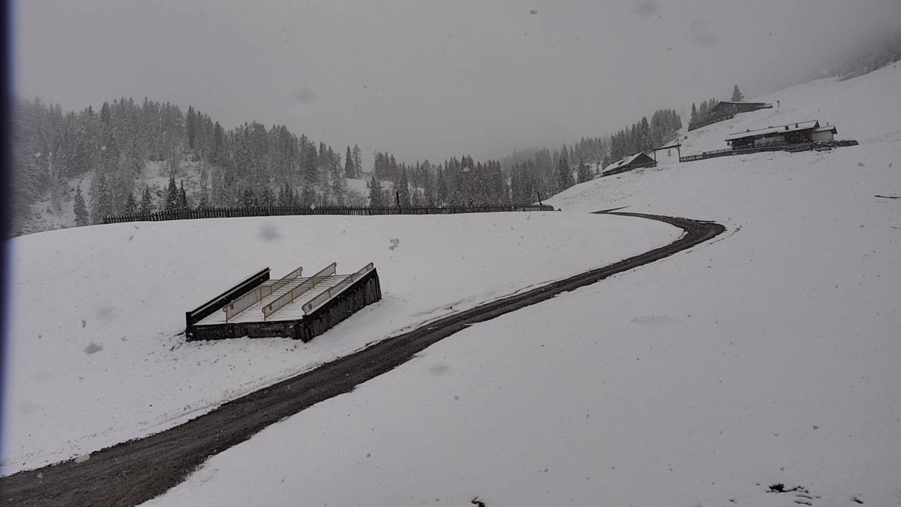 Archiv Foto Webcam Snowpark Flachauwinkl
