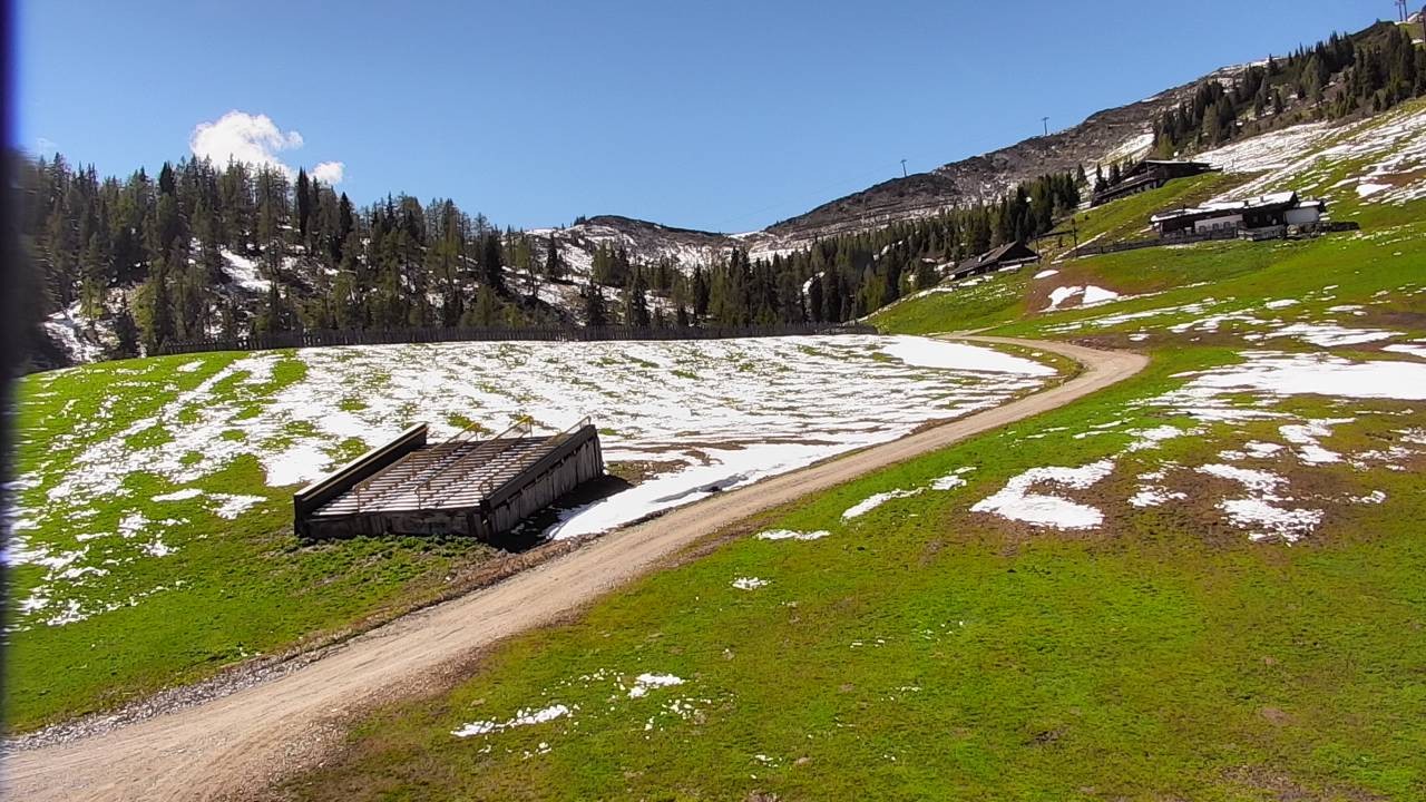Archived image Webcam Snowpark Flachauwinkl