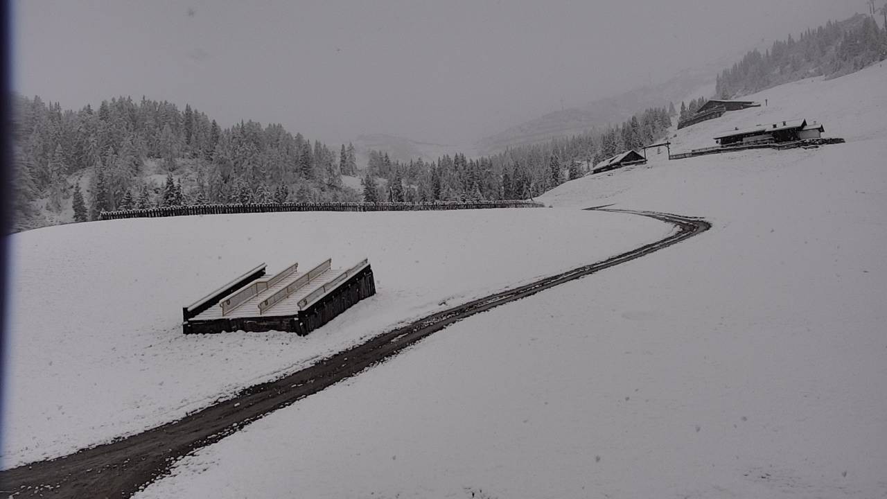 Archiv Foto Webcam Snowpark Flachauwinkl