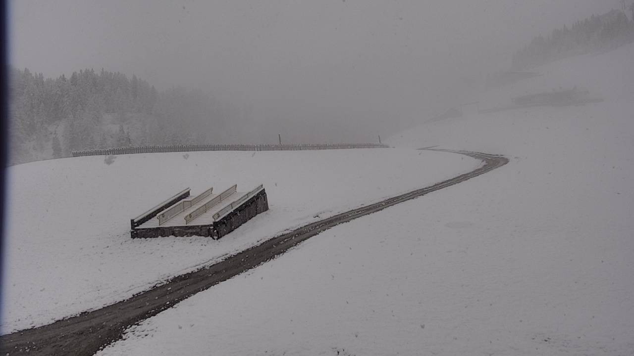 Archiv Foto Webcam Snowpark Flachauwinkl