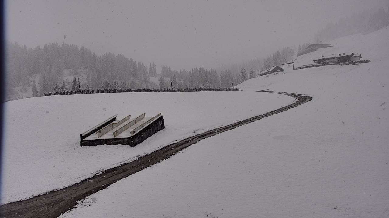 Archiv Foto Webcam Snowpark Flachauwinkl